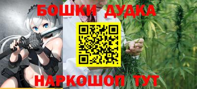 молекула духа Будённовск