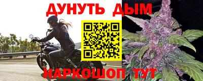 молекула духа Будённовск