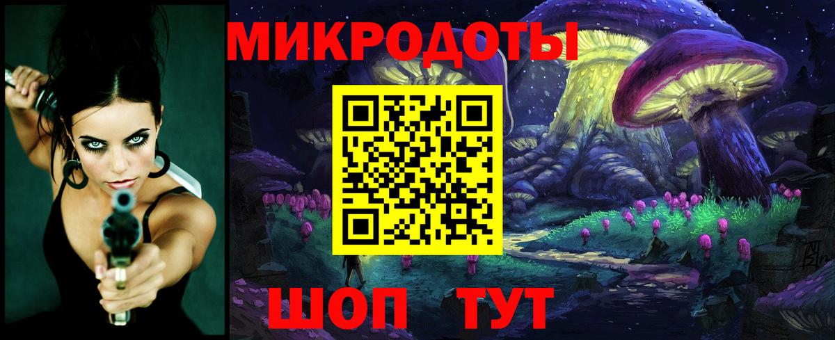 Псилоцибиновые грибы Psilocybe Щёлково